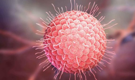 为什么说蛇缠腰是癌症(缠腰蛇是什么癌症引起的)