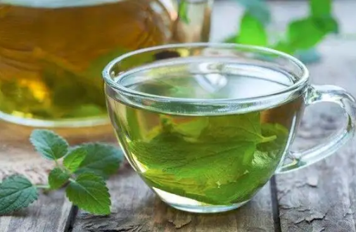 薄荷泡水为什么发黄(薄荷叶怎么会发黄) 薄荷泡水为什么发黄(薄荷叶怎么会发黄)