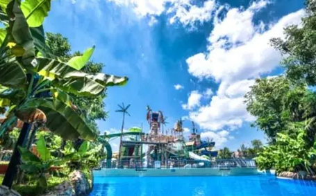 武汉玛雅水上乐园早鸟票是什么意思(武汉玛雅海滩早鸟票在哪里买)