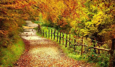 2022秋天大概几月份开始冷(2021秋天什么时候冷)