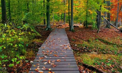 北方过了处暑还热吗(北方处暑热不热) 北方过了处暑还热吗(北方处暑热不热)