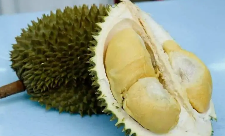 榴莲不熟放放可以变熟吗(没熟好的榴莲会越放越熟吗?) 榴莲不熟放放可以变熟吗(没熟好的榴莲会越放越熟吗?)