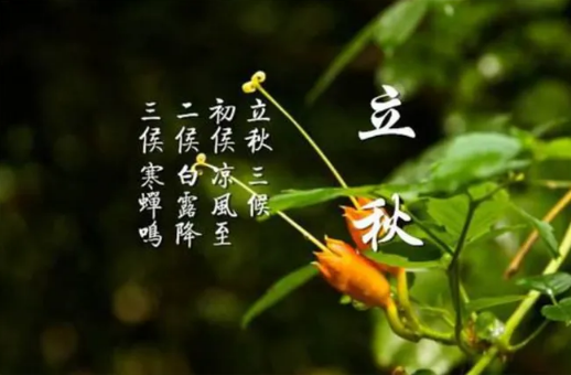 2022立秋后是热还是凉快(立秋就凉快了吗2020)