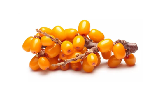 沙棘果维生素c含量比猕猴桃高吗(沙棘果和猕猴桃的维生素C那个含量更高) 沙棘果维生素c含量比猕猴桃高吗(沙棘果和猕猴桃的维生素C那个含量更高)