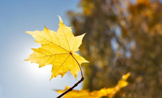 2022年立秋时间预示睁眼秋还是闭眼秋(今年立秋是睁眼秋)