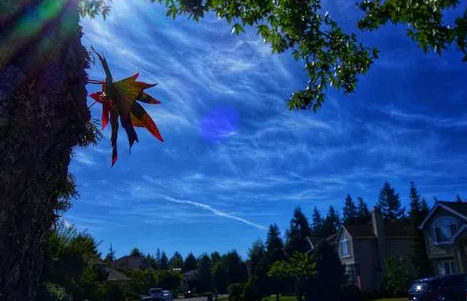 2022处暑会降温吗(2021年防暑降温) 2022处暑会降温吗(2021年防暑降温)