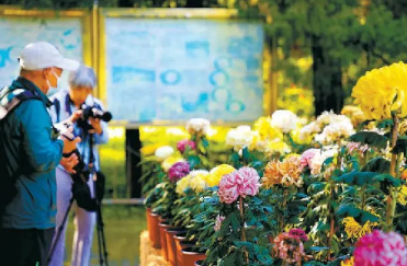 2022年国庆去青岛能下海吗(几月份去青岛能下海玩儿)