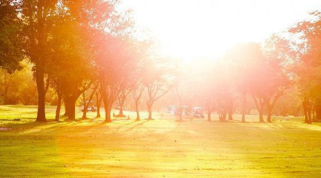 2022年中伏是二十四节气吗(中伏是24节气吗) 2022年中伏是二十四节气吗(中伏是24节气吗)