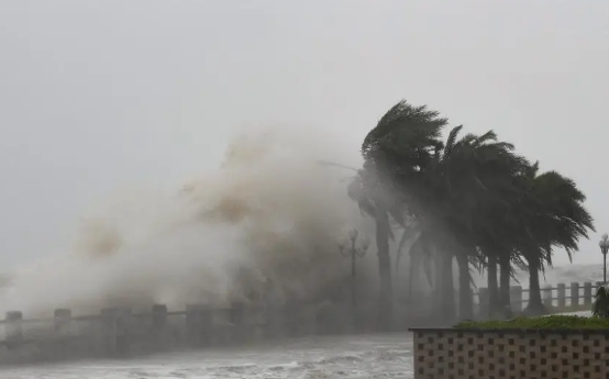 2022年一共有几个台风(2020年一共有几个台风了)