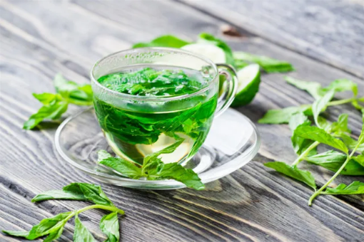 湿气重的人可以喝薄荷叶泡水吗(体内有湿气的人可以喝荷叶茶吗?)