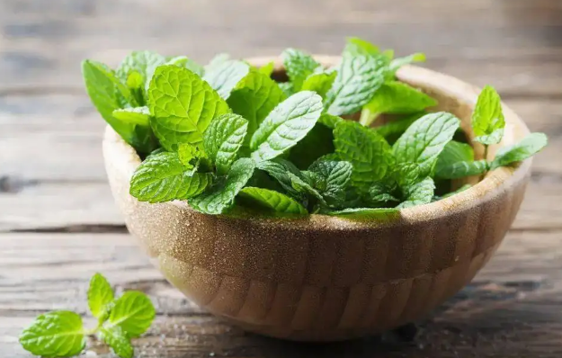 薄荷开花了还可以食用吗(薄荷怎么会开花)