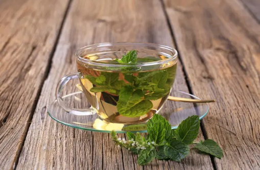 薄荷泡水用老叶还是嫩叶(荷叶泡水用老叶还是嫩叶)