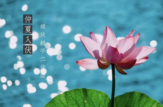 三伏天从哪个节气开始到哪个节气结束(三伏天是什么节气到什么节气) 三伏天从哪个节气开始到哪个节气结束(三伏天是什么节气到什么节气)