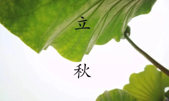 2022年立秋是几伏(2021年立秋时间和初伏时间)