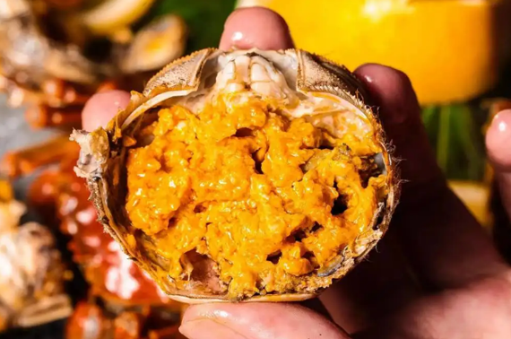 蟹黄发苦是什么原因(蟹黄发苦是怎么回事)