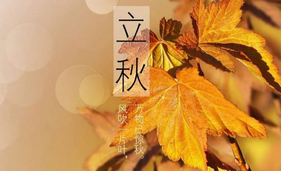 2022年立秋时间几点几分几秒(2025年立秋是几点几分几秒)