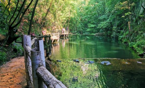 最近河南为什么这么热2022(河南最热吗)