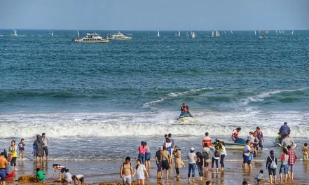 2022年青岛7月热还是8月热(青岛8月热还是9月热)