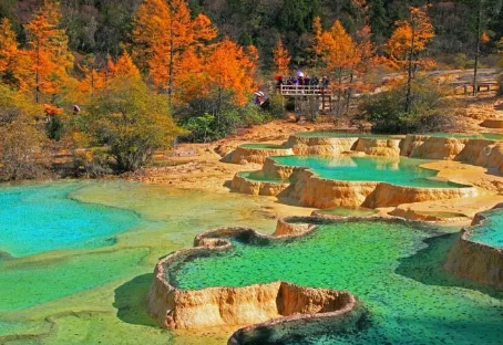 7月份去成都需要48h核酸检测吗(12月去成都需要核酸检测吗) 7月份去成都需要48h核酸检测吗(12月去成都需要核酸检测吗)