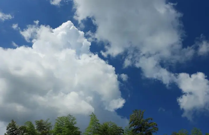 2022年处暑是哪天(2020年处暑是哪一天)