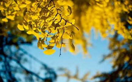 北方过了处暑还热吗(北方处暑热不热)