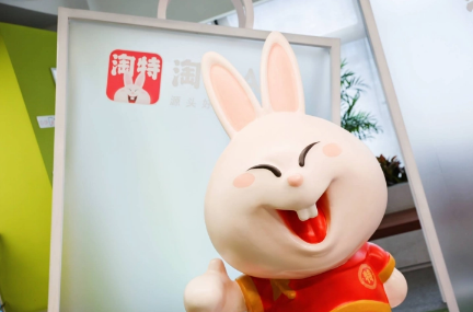 淘特不能好友代付吗(淘宝怎么找人代付) 淘特不能好友代付吗(淘宝怎么找人代付)