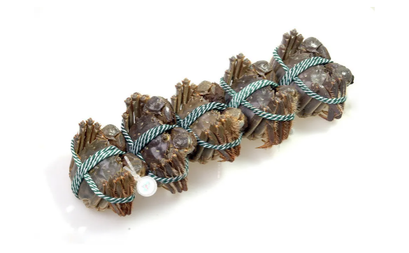 活螃蟹怎么保存过夜放水还是不放水(河蟹保存需要放水吗)