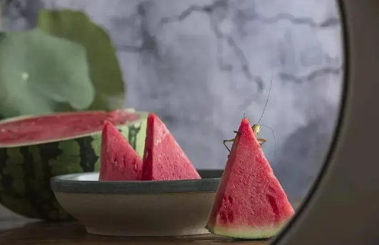 2022年一伏二伏三伏的时间(2022三伏天时间) 2022年一伏二伏三伏的时间(2022三伏天时间)