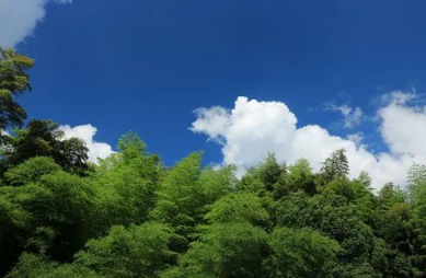 2022年处暑是哪天(2020年处暑是哪一天)