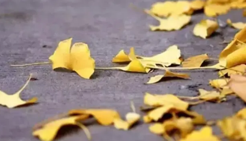 2022处暑过后今年天气还热吗(2022年天气会更热吗)