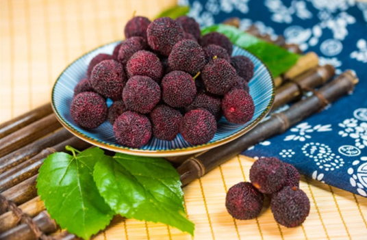 杨梅一天吃一斤一个人好吗(杨梅一次可以吃多少斤)