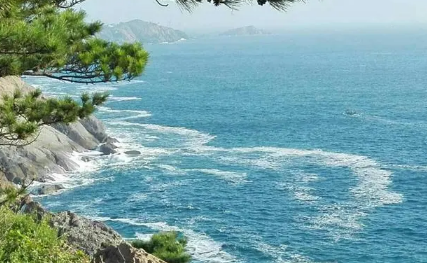 2022年青岛7月热还是8月热(青岛8月热还是9月热)