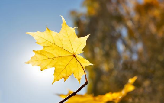 2022年立秋的日子不好吗(2021年立秋是好日子吗)