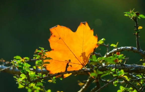 2022年立秋的日子不好吗(2021年立秋是好日子吗)