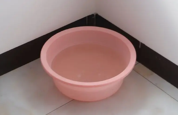 房间太热放一盆水能降温吗(夏天房间里放一盆水可以降温吗)