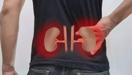 肾虚吃什么东西补得快(肾虚吃什么东西补得快中药)