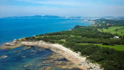 2022年大连和青岛夏天哪里更热(青岛和大连哪个冬天冷) 2022年大连和青岛夏天哪里更热(青岛和大连哪个冬天冷)