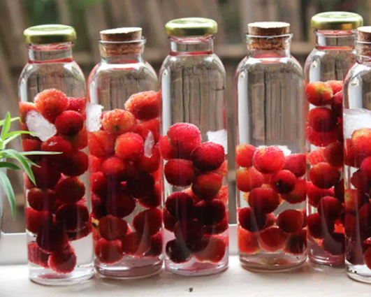 泡酒后的杨梅如何处理(杨梅泡过酒后怎么处理) 泡酒后的杨梅如何处理(杨梅泡过酒后怎么处理)