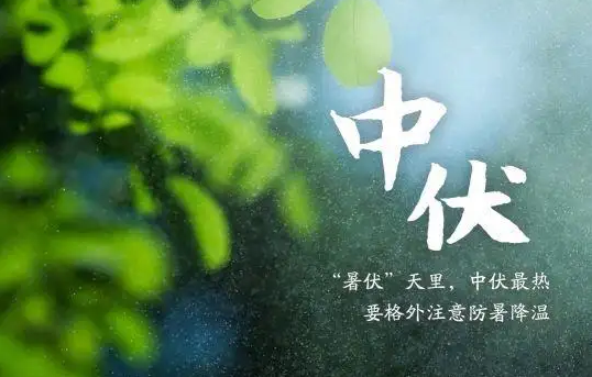 2022年中伏是几月几号(中伏末伏是几月几号2021年) 2022年中伏是几月几号(中伏末伏是几月几号2021年)