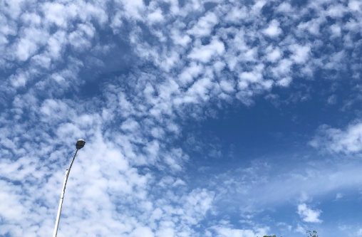 河南热还是广东热(广东热还是湖南热) 河南热还是广东热(广东热还是湖南热)