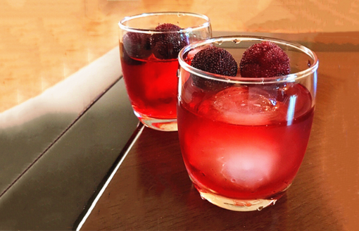 泡酒后的杨梅可以养花吗(杨梅可以用来泡酒吗)