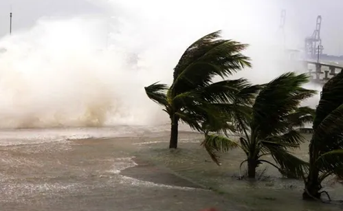 2022年一共有几个台风(2020年一共有几个台风了)