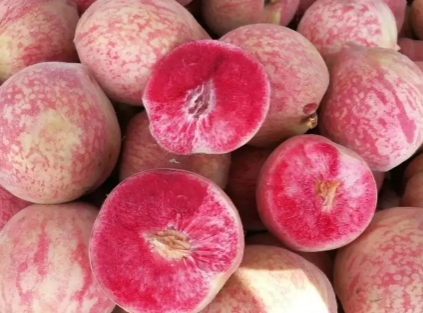 血桃放放会软吗(血桃是脆的还是软的)