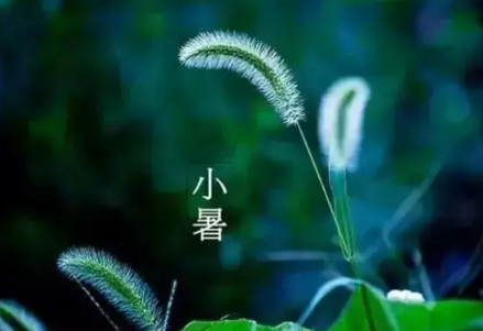 小暑节气下雨好还是出太阳好(处暑节气下雨好还是不下雨好) 小暑节气下雨好还是出太阳好(处暑节气下雨好还是不下雨好)