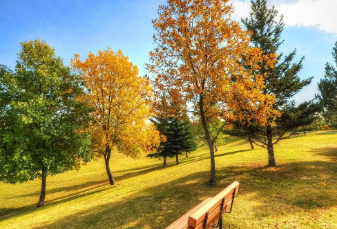 今年秋老虎什么时候走2022(虎年2022什么时候开始)