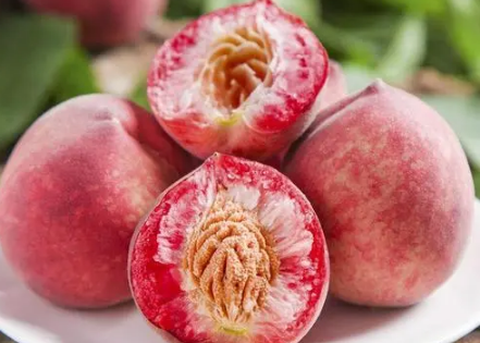 血桃很小吗(血桃长什么样) 血桃很小吗(血桃长什么样)