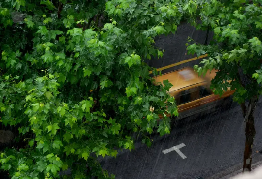 2022年下半年雨水多不多(2020年下半年雨水是多还是少)