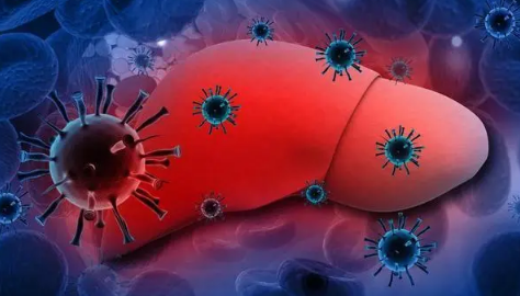 肝不好吃什么调理最好(肝不好吃什么调理最好中药) 肝不好吃什么调理最好(肝不好吃什么调理最好中药)