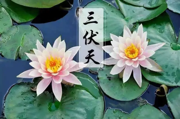 三伏天2022从哪天开始(三伏天2022从哪天开始艾灸)