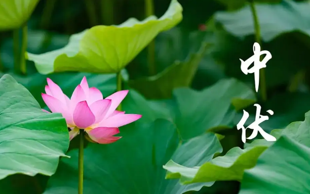 2022年三伏天哪几天最热(今年三伏天什么时候最热) 2022年三伏天哪几天最热(今年三伏天什么时候最热)